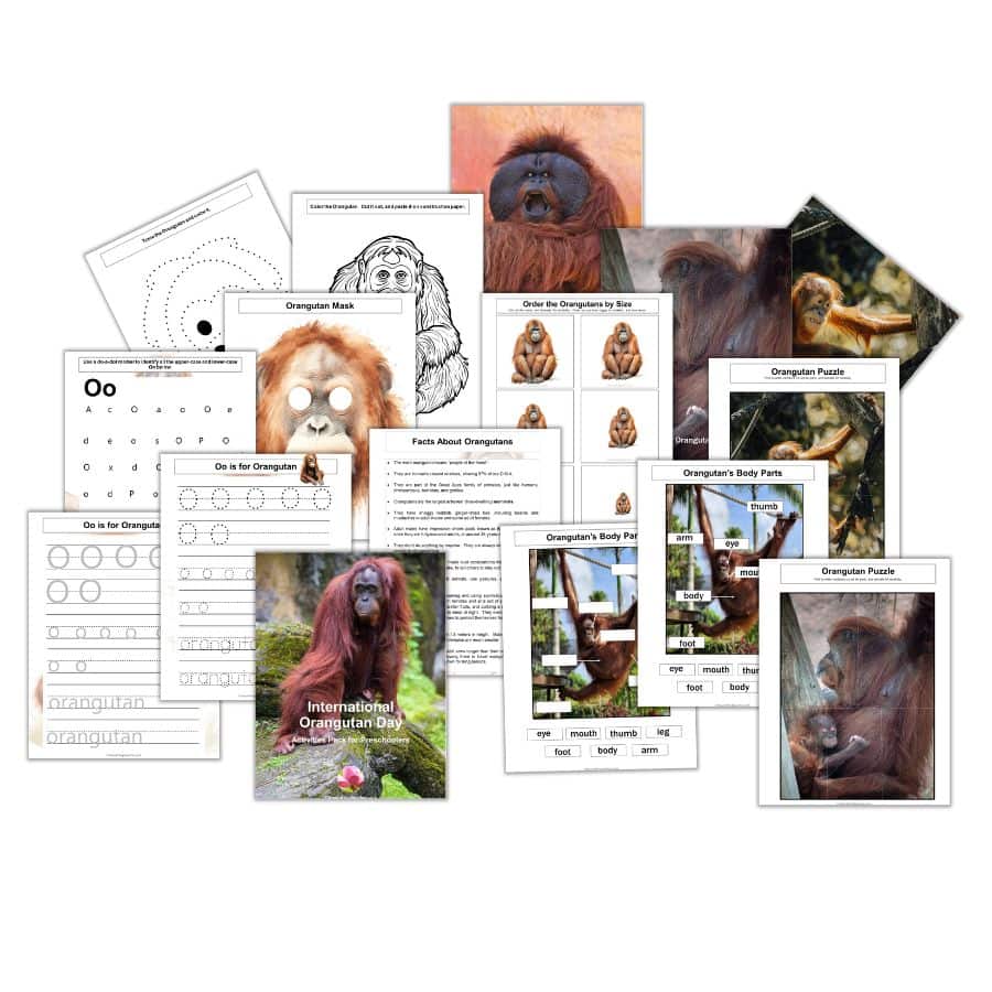 Celebrating International Orangutan Day With Preschoolers