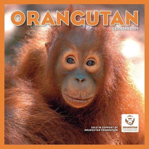 Orangutan Calendar