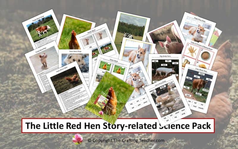 The Little Red Hen Story-related Science Pack for Preschoolers