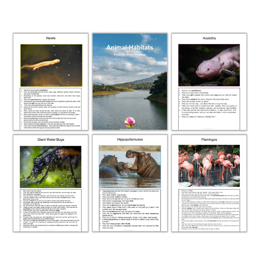 Freshwater Animals