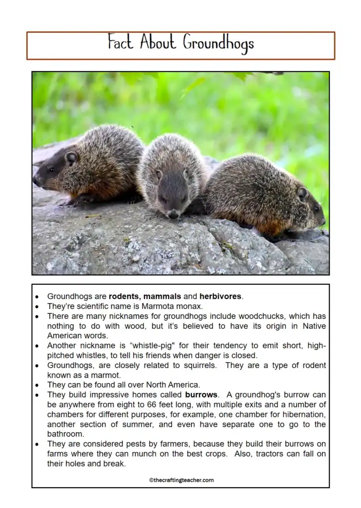 Facts About Groundhogs