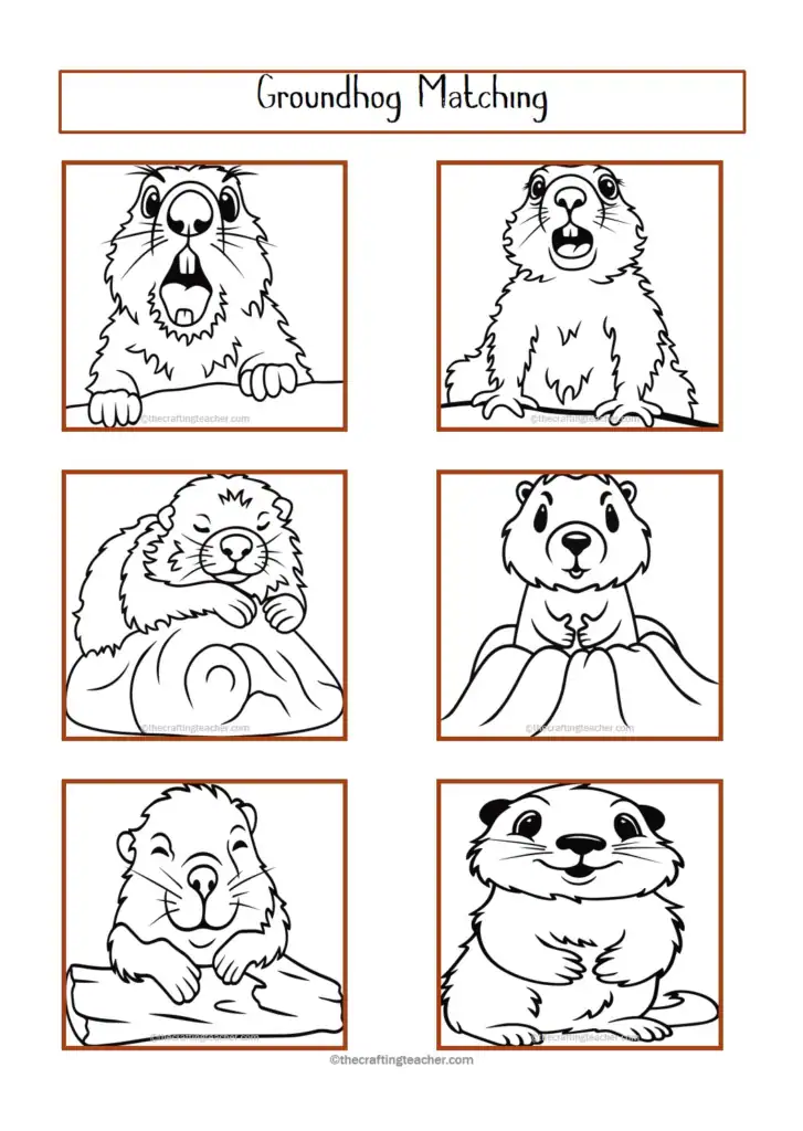 Groundhog Black and White Pictures