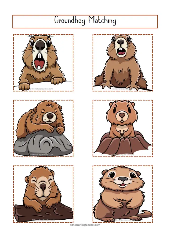 Groundhog Color  Pictures