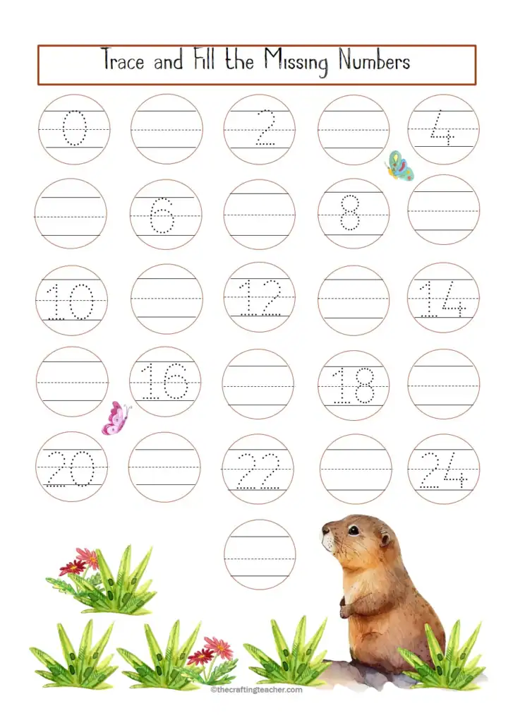 Trace and Fill the Missing Numbers