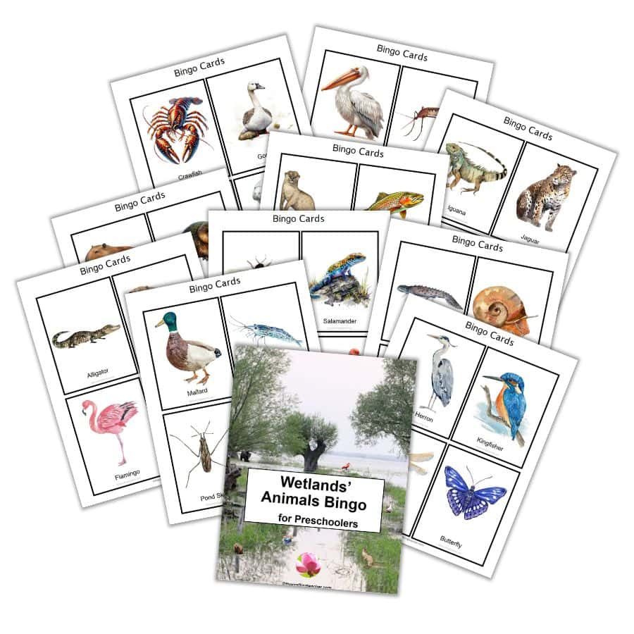 Wetlands' Animals Bingo Cards