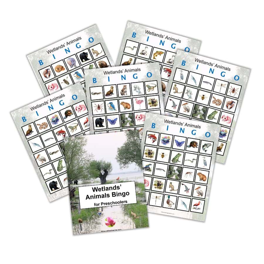 Wetlands' Animals Bingo for Preschoolers - Advanced version