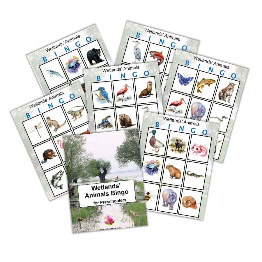 Wetlands' Animals Bingo for Preschoolers - Simpler version