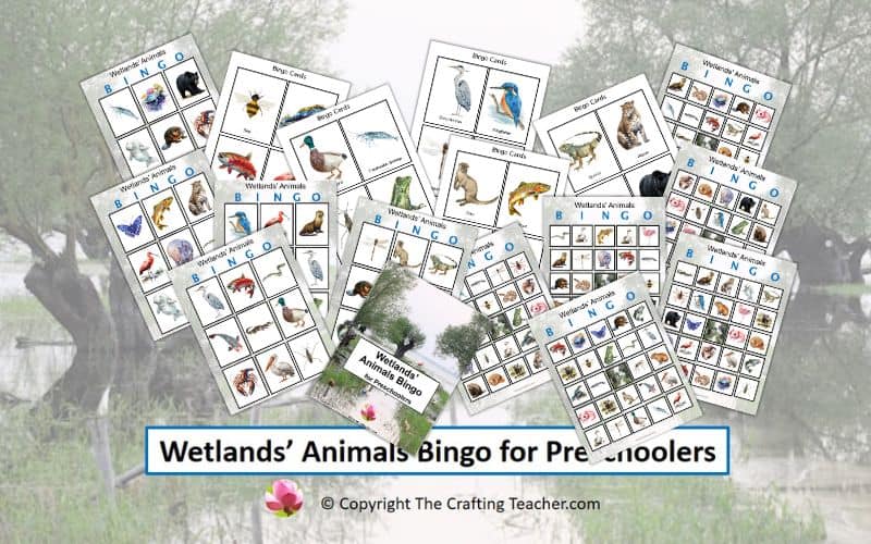 Wetlands' Animals Bingo for Preschoolers