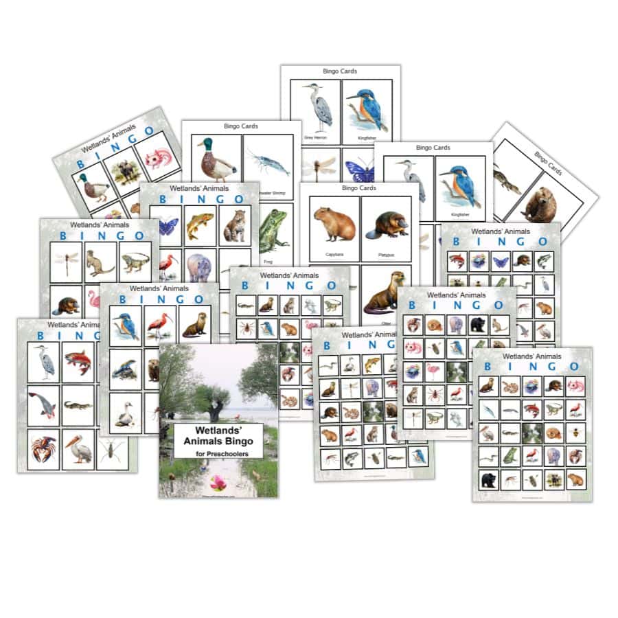 Wetlands' Animals Bingo for Preschoolers