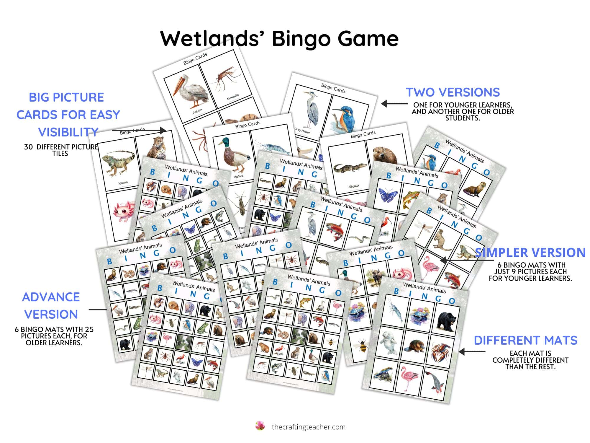 Wetlands' Animals Bingo for Preschoolers