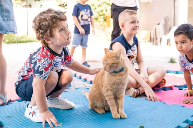 A child petting a cat by Saulo Leite from Pexels