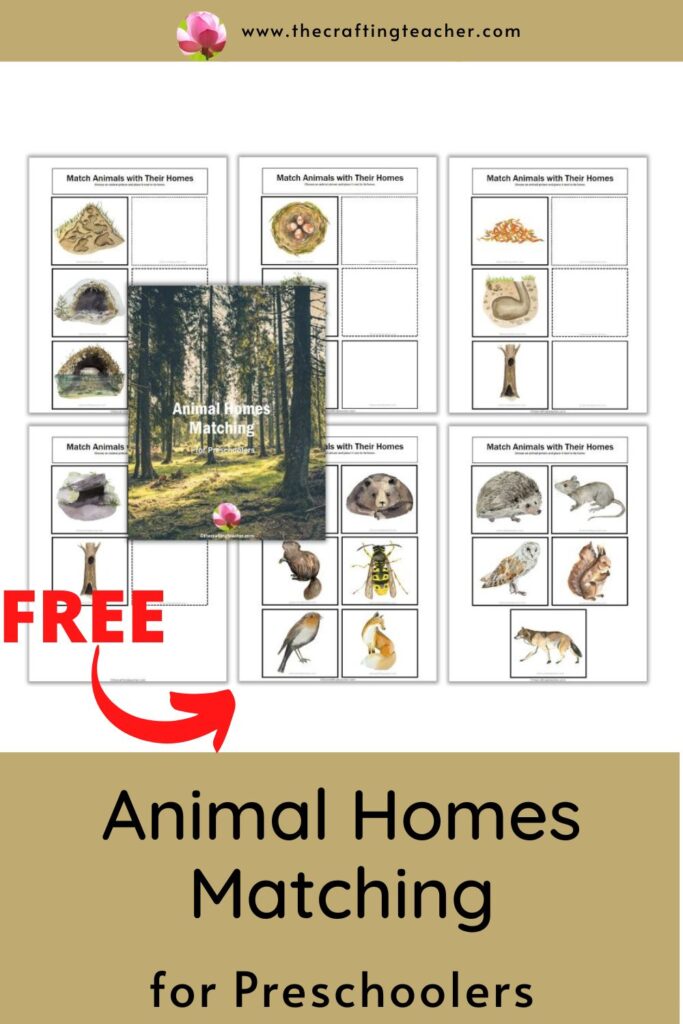 Animal Homes Matching for Preschoolers