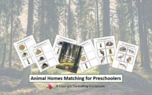 Animal Homes Matching for Preschoolers
