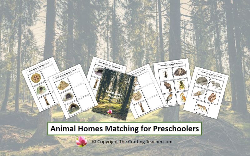 Animal Homes Matching for Preschoolers
