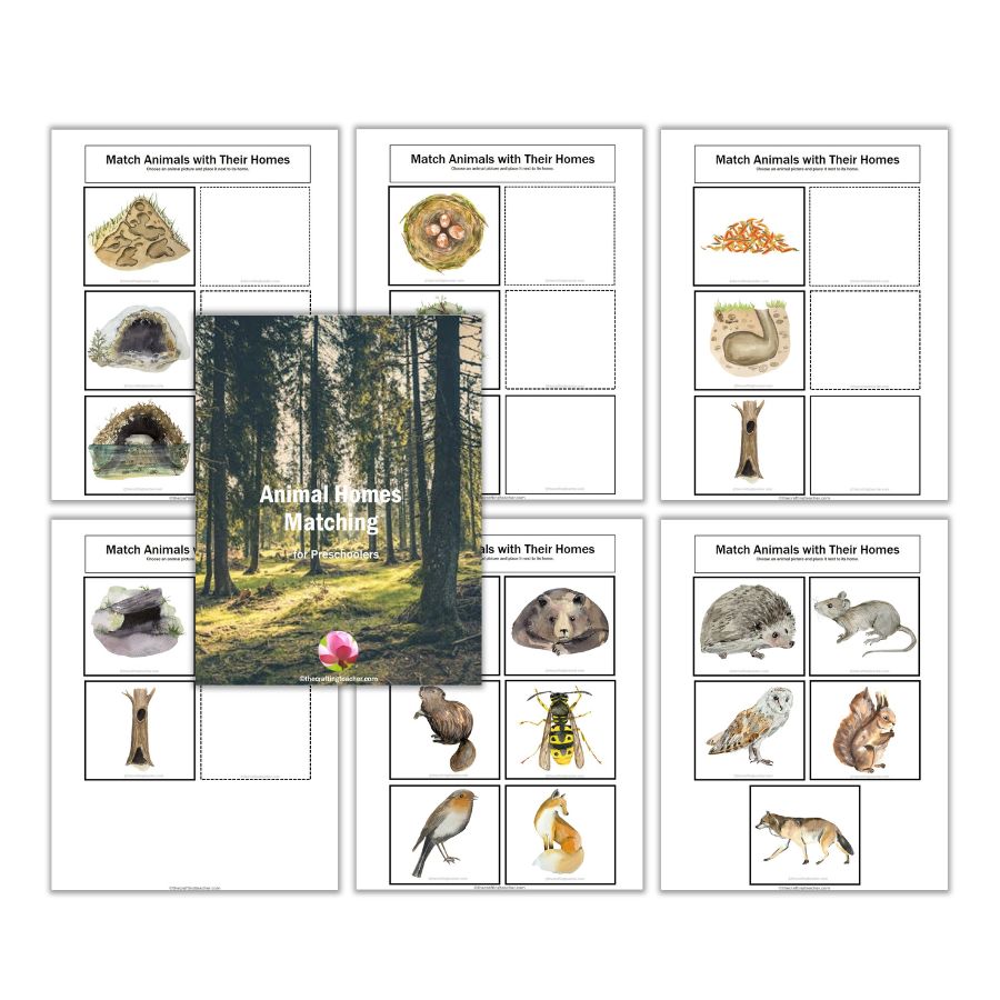 Animal Homes Matching for Preschoolers