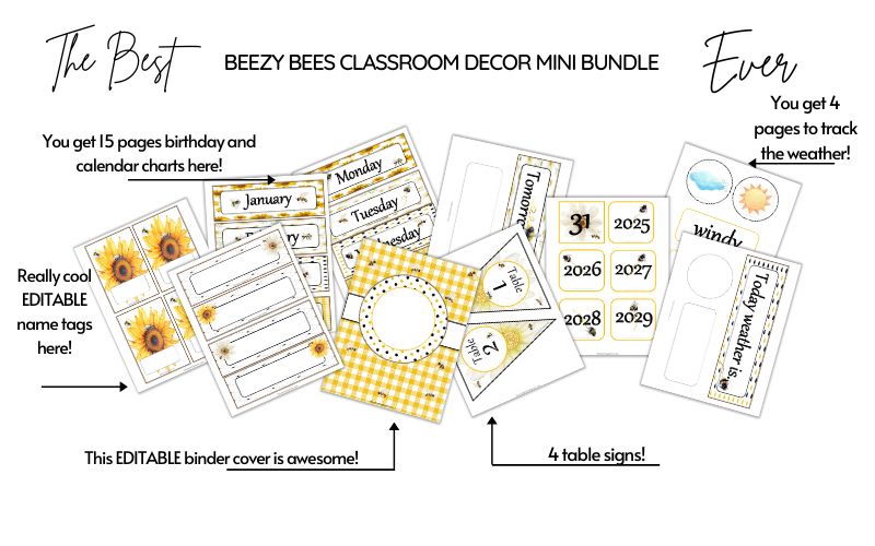 Beezy Bees Classroom Decor Mini Bundle