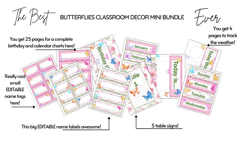 Butterflies Classroom Decor Mini Bundle