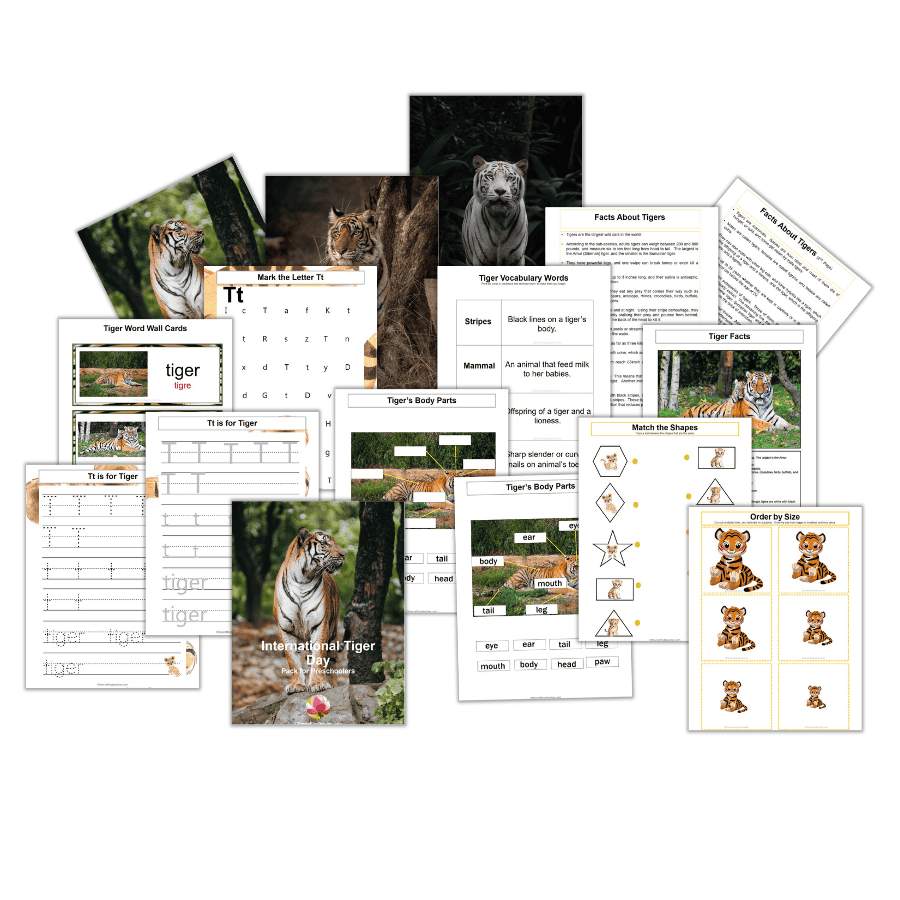 Celebrating International Tiger Day With Preschoolers