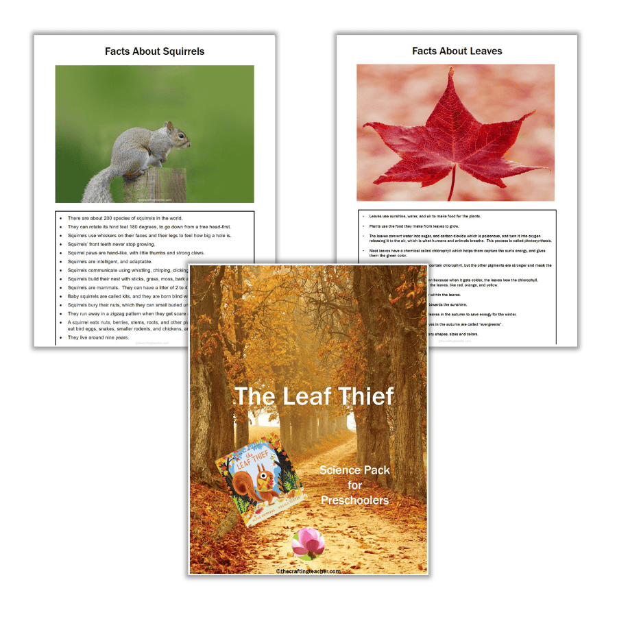 Facts About Squirrels and Leaves