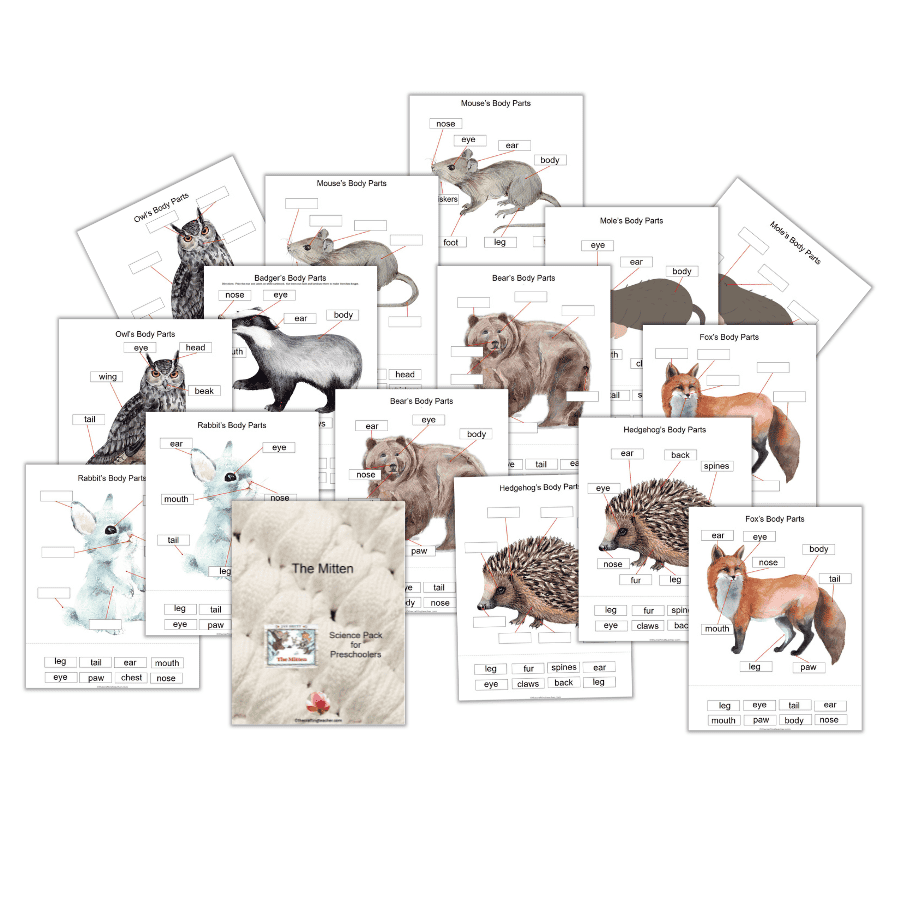 The Mitten Animal Body Parts Match