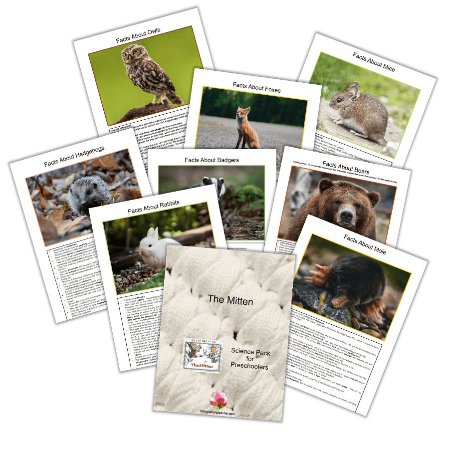 The Mitten Animal Facts
