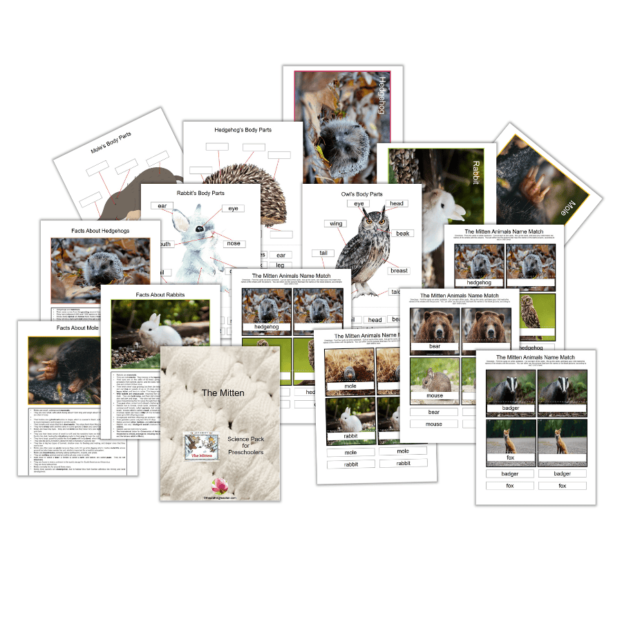 The Mitten Story-related Science Pack for Preschoolers