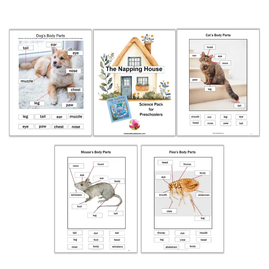 The Napping House Animal Body Parts with Names