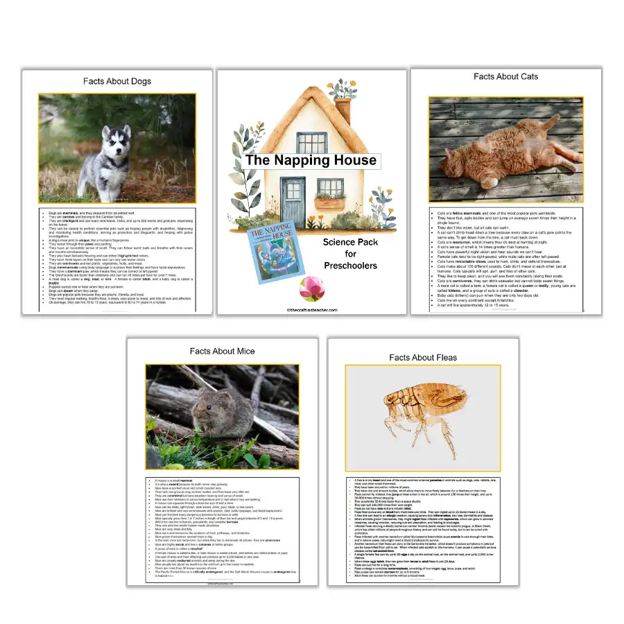 The Napping House Animal Facts