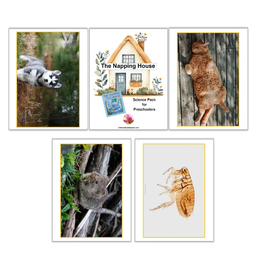 The Napping House Animal Pictures
