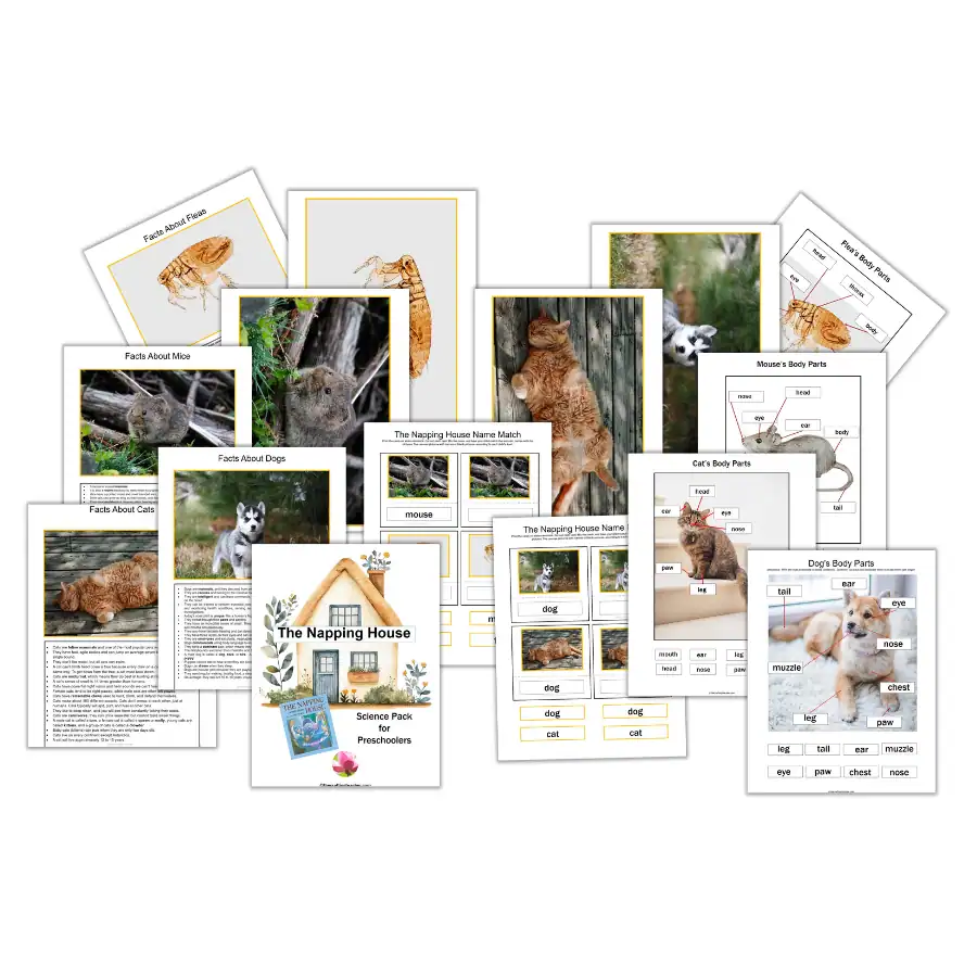 The Napping House Science Pack for Preschoolers
