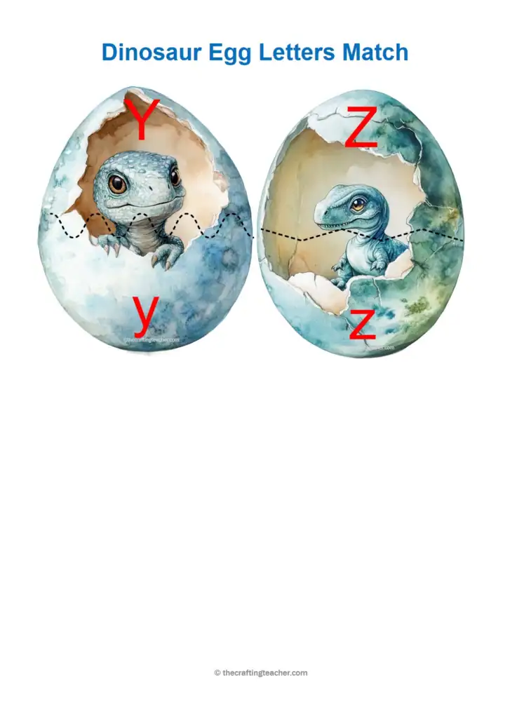 Letter Y and Z