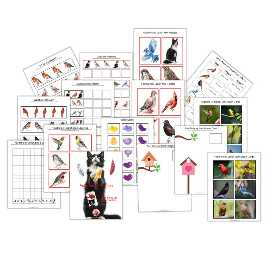 Feathers for Lunch Story-related Math Pack for Preschoolers 