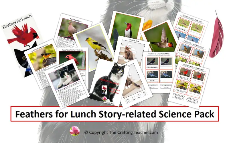 Feathers for Lunch Story-related Science Pack for Preschoolers