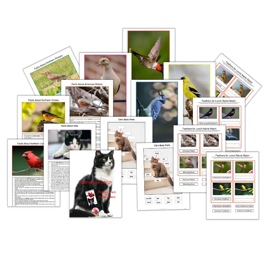 Feathers for Lunch Story-related Science Pack for Preschoolers